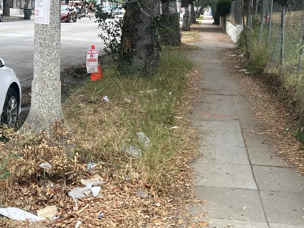 Top-rated lawn mowing service in Los Angeles, CA by Alfredo Landscaping