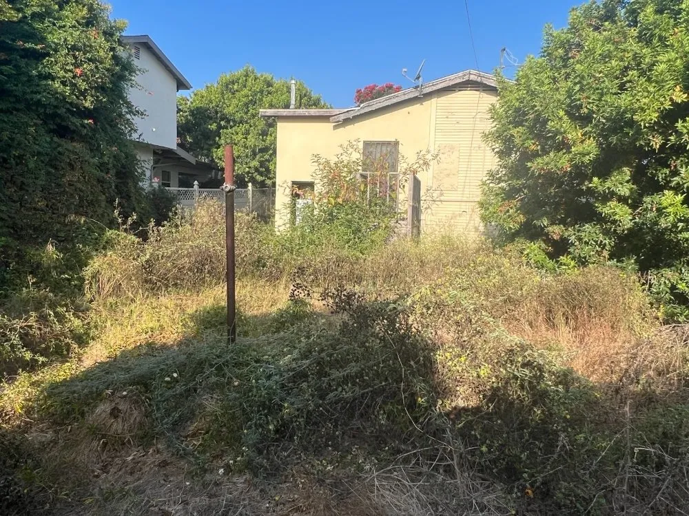 Reliable lawn care service in Los Angeles, CA - Alfredo Landscaping