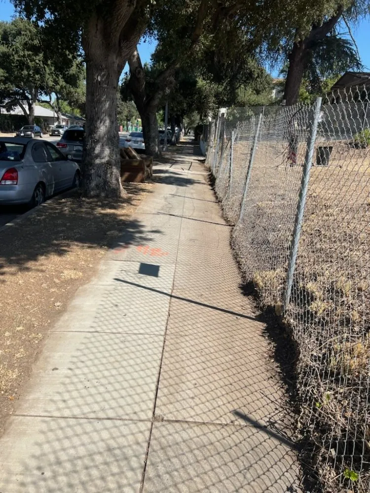 Reliable yard cleanup service for homes across Los Angeles, CA - Alfredo Landscaping