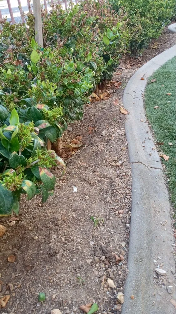 Professional garden landscaping for homes across Palmdale, CA - Alfredo Landscaping