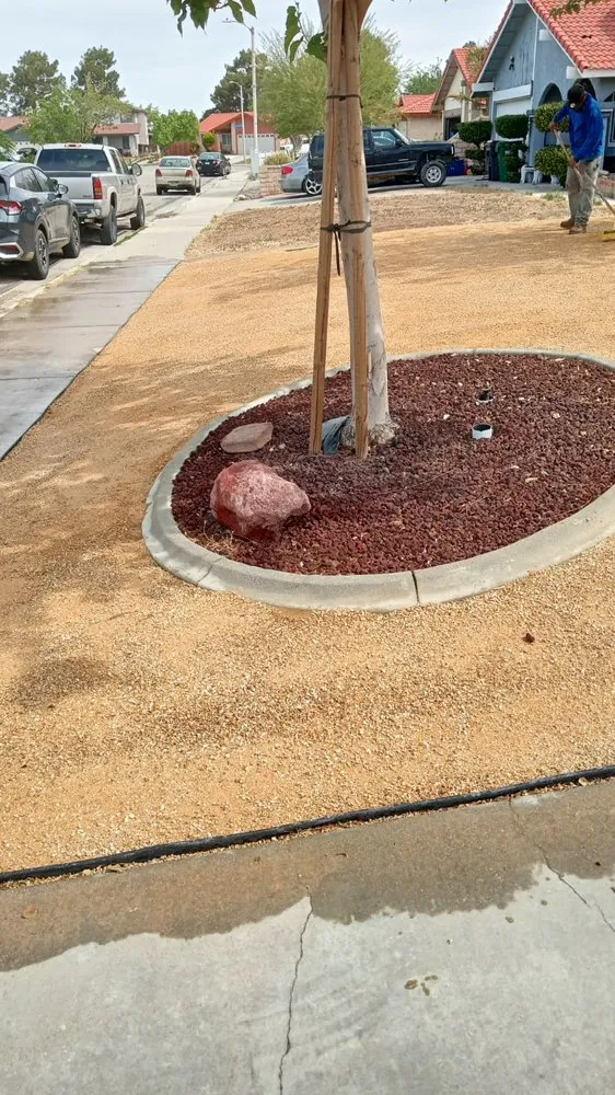 Top-rated yard cleanup service in Palmdale, CA - Alfredo Landscaping