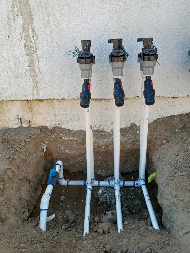 Expert lawn care service in Palmdale, CA - Alfredo Landscaping