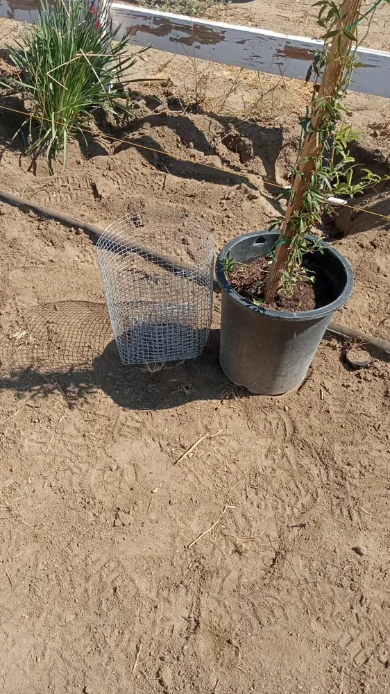 Reliable residential landscaping in Palmdale, CA by Alfredo Landscaping