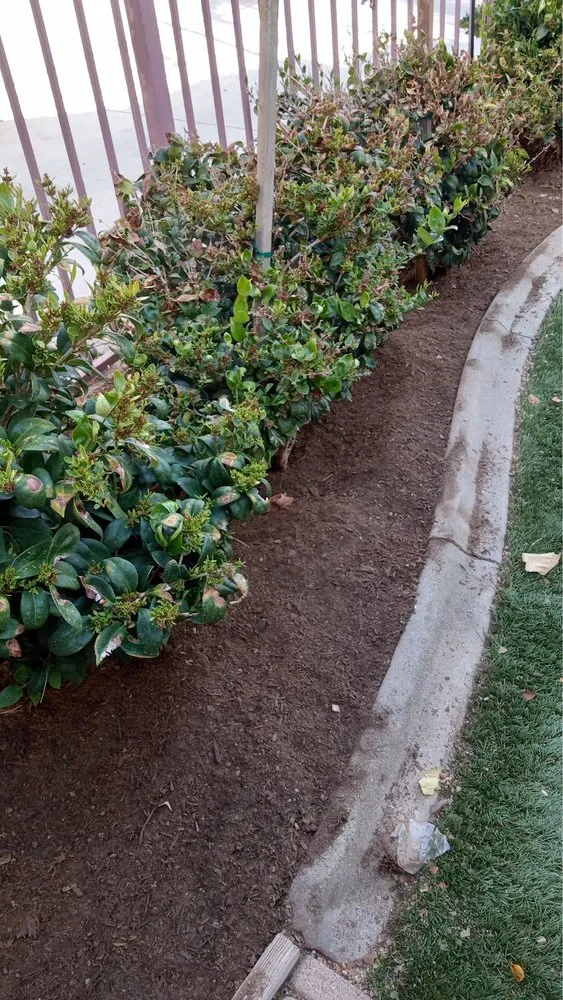 Custom landscape installation experts serving Palmdale, CA - Alfredo Landscaping