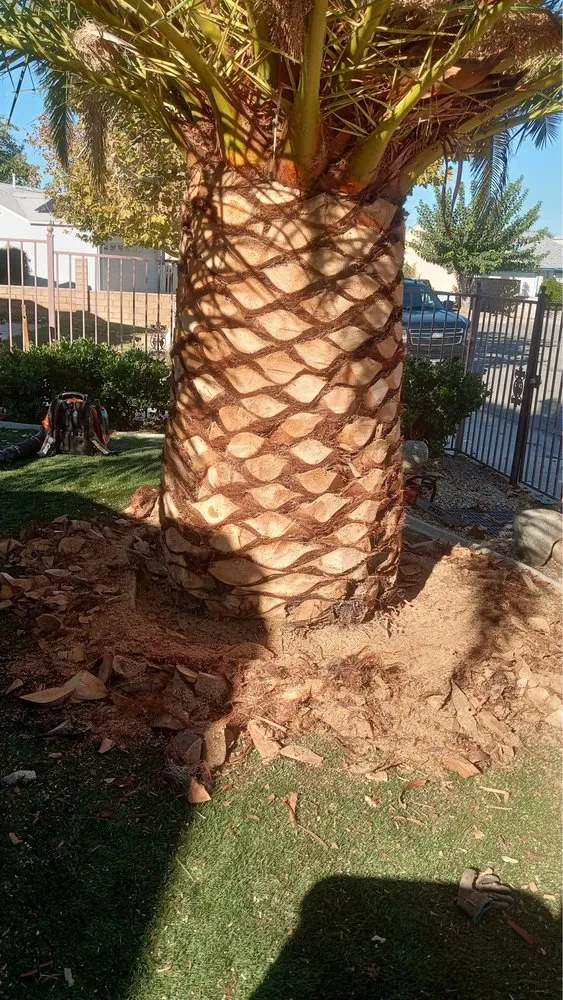 Top-rated landscape design experts serving Palmdale, CA - Alfredo Landscaping