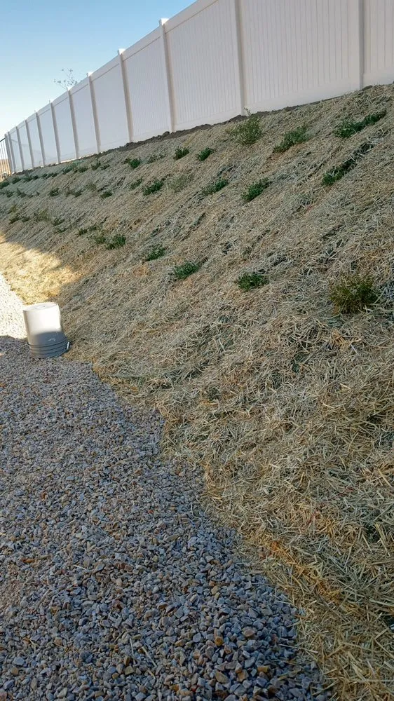 Trusted landscaping services in Palmdale, CA - Alfredo Landscaping