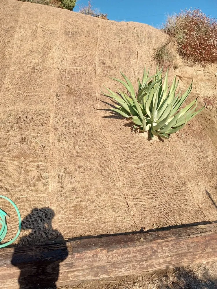 Affordable landscaping services for outdoor upgrades across Palmdale, CA - Alfredo Landscaping