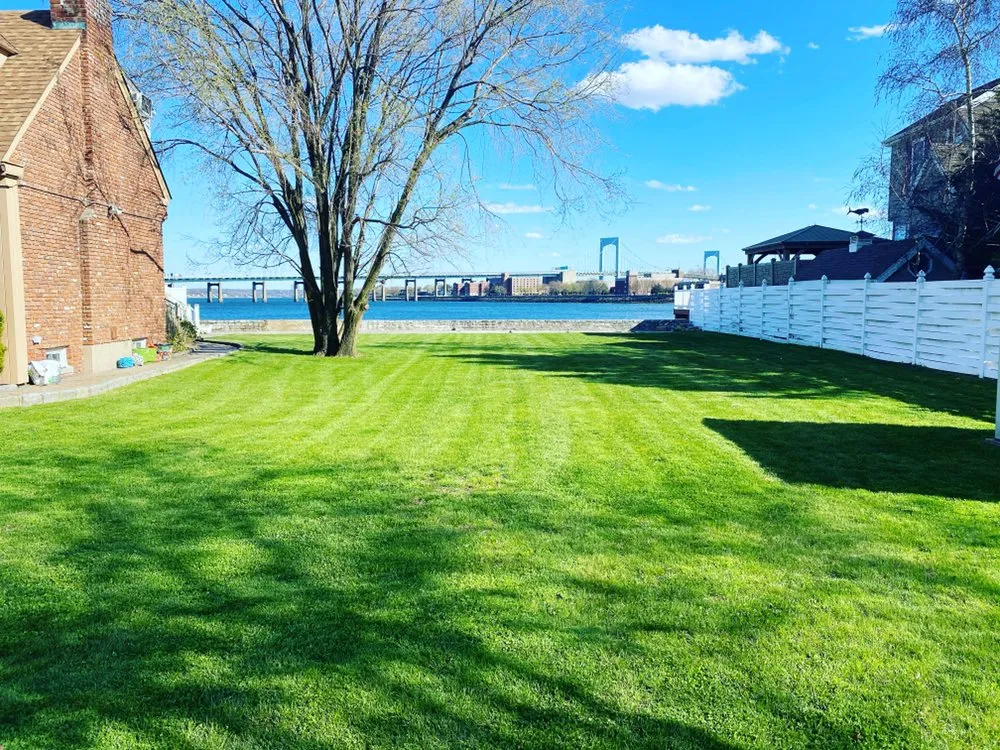 Custom yard cleanup service for residential properties in New Rochelle, NY by Alfredo Lawn Care