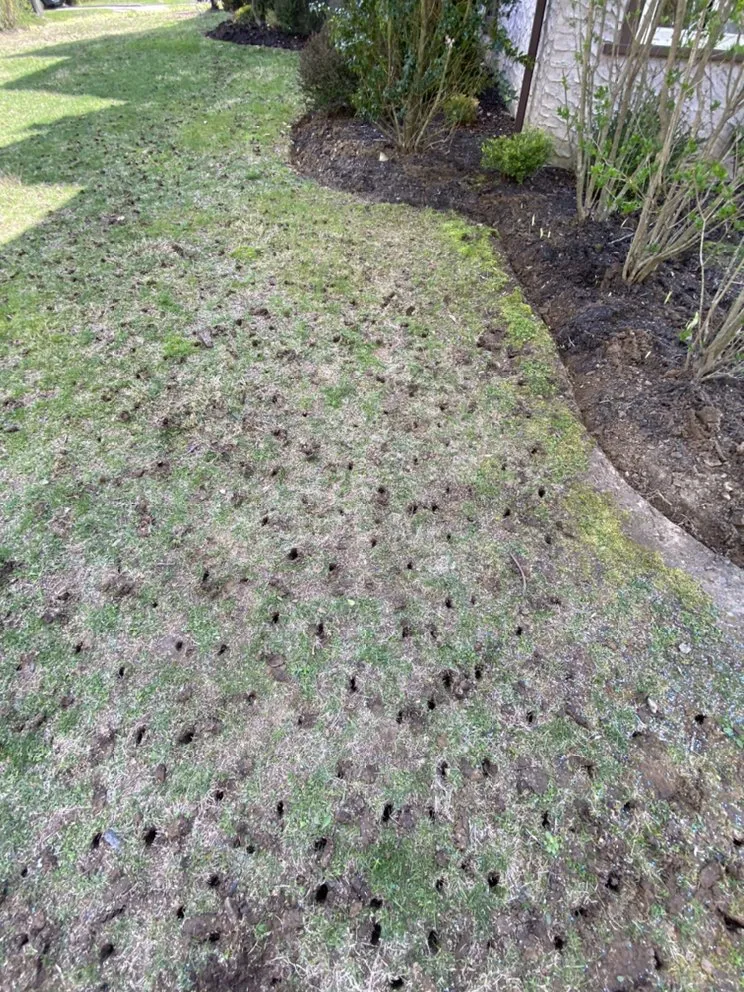 Reliable garden landscaping near you in New Rochelle, NY by Alfredo Lawn Care