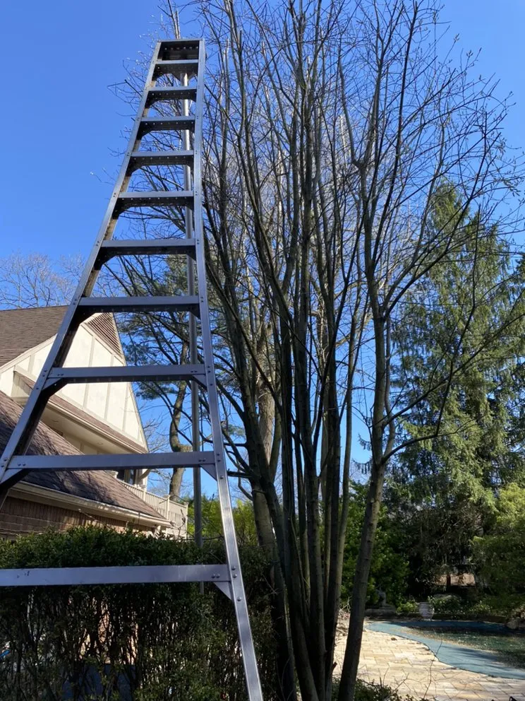 Custom residential landscaping in New Rochelle, NY - Alfredo Lawn Care