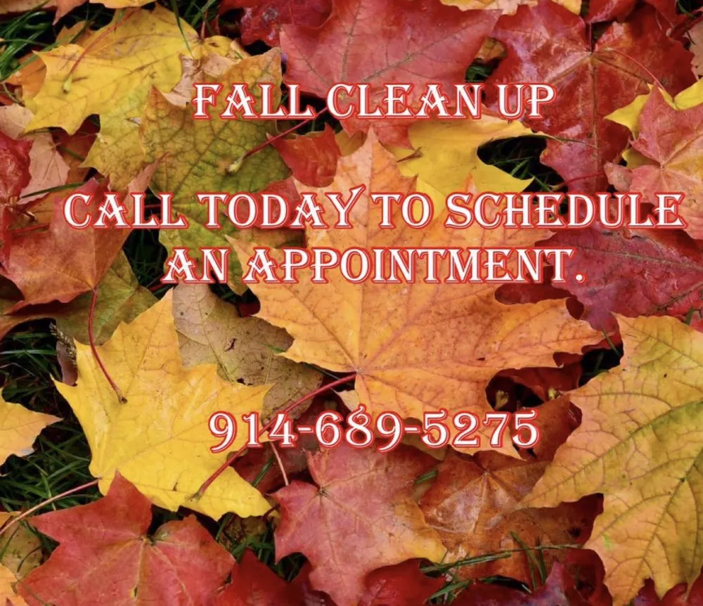 Local landscape installation experts serving New Rochelle, NY - Alfredo Lawn Care