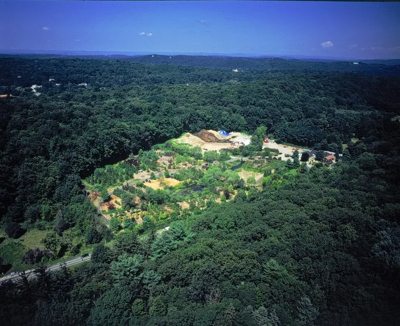 Professional landscape design for homes across Mt Kisco, NY - Alfredo LDC