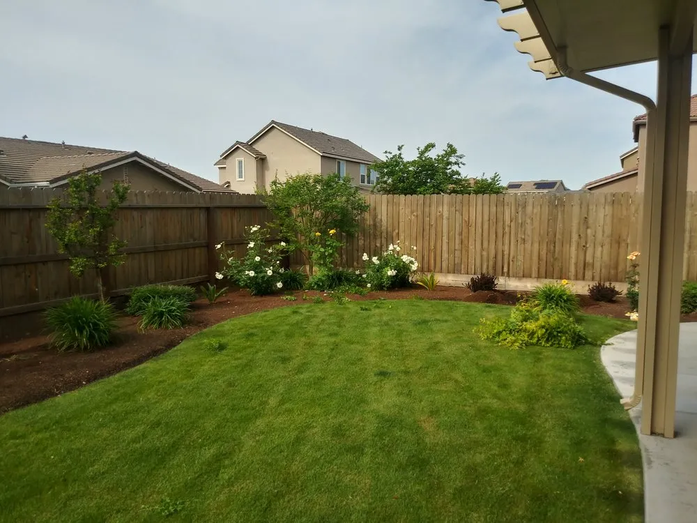 Reliable yard cleanup service in Fresno, CA - Alfredo Miguel Maintenance