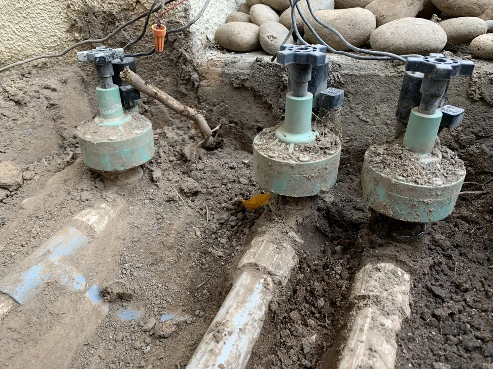 Professional landscape design in Fresno, CA by Alfredo Miguel Maintenance