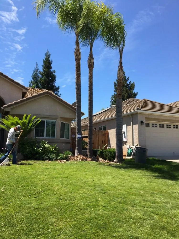 Local garden landscaping experts serving Fresno, CA - Alfredo Miguel Maintenance