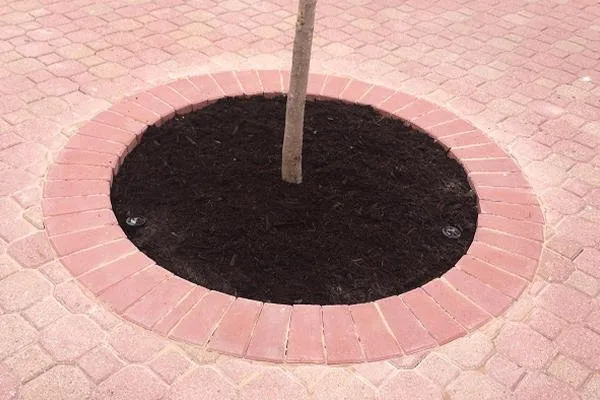 Reliable lawn mowing service experts serving Weatherford, TX - Alfredo Olvera Landscaping