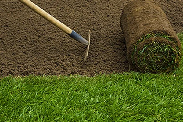 Expert landscape design experts serving Weatherford, TX - Alfredo Olvera Landscaping