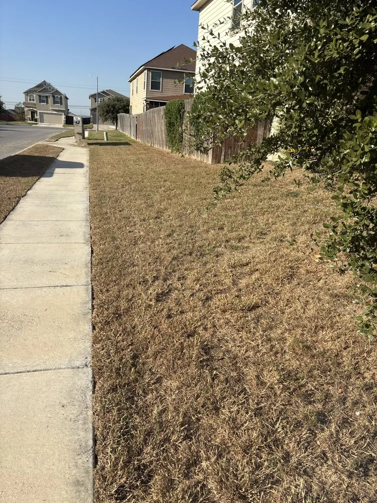 Reliable yard maintenance in San Antonio, TX - Alfredo Rodriguez Landscaping