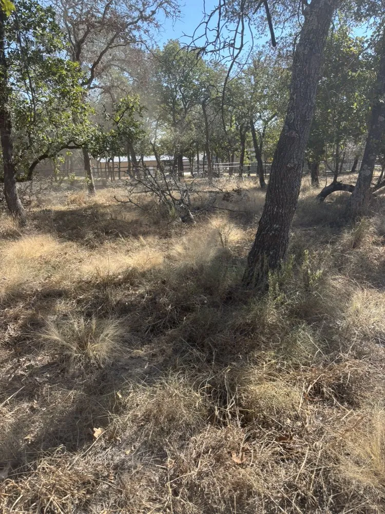 Local garden landscaping in San Antonio, TX by Alfredo Rodriguez Landscaping