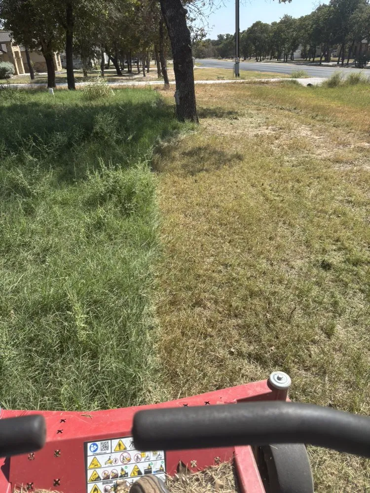 Local landscaping services for year-round maintenance in San Antonio, TX by Alfredo Rodriguez Landscaping