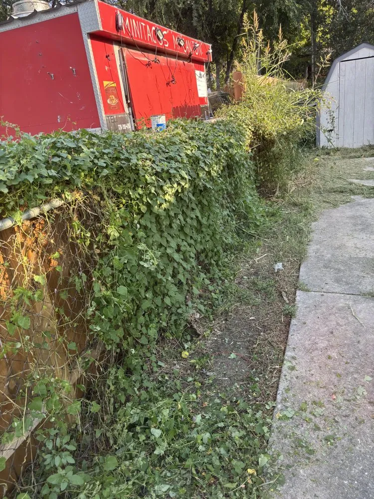 Trusted landscaping services in San Antonio, TX - Alfredo Rodriguez Landscaping