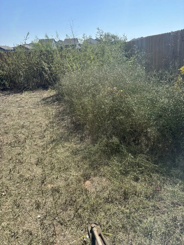 Local lawn mowing service in San Antonio, TX - Alfredo Rodriguez Landscaping