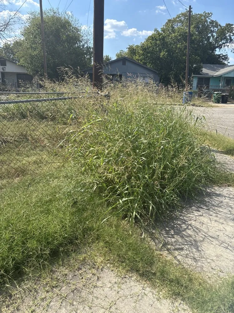 Custom landscape design in San Antonio, TX - Alfredo Rodriguez Landscaping