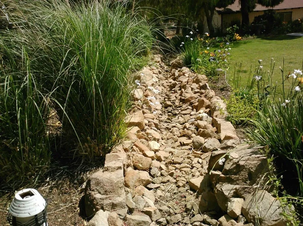 Expert yard cleanup service in Riverside, CA by Alfredo's Landscape and Gardening Services