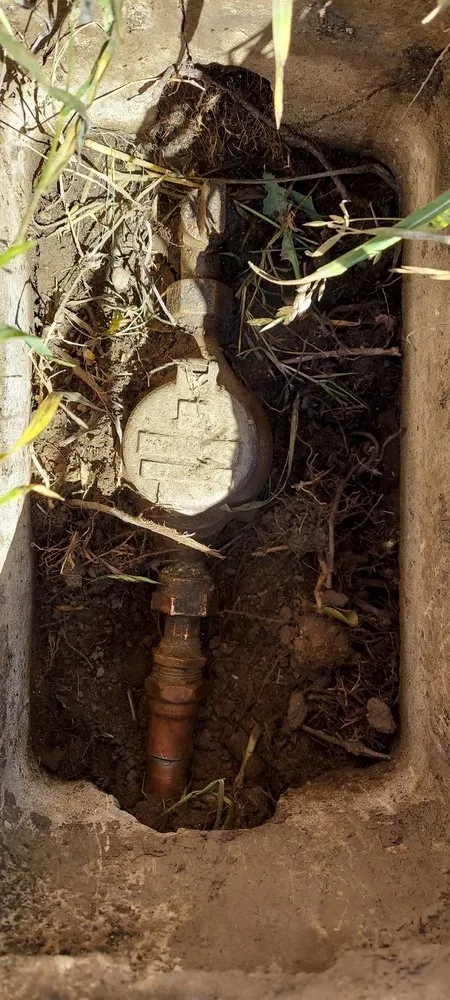 Reliable outdoor landscaping for homes across Riverside, CA - Alfredo's Landscape and Gardening Services