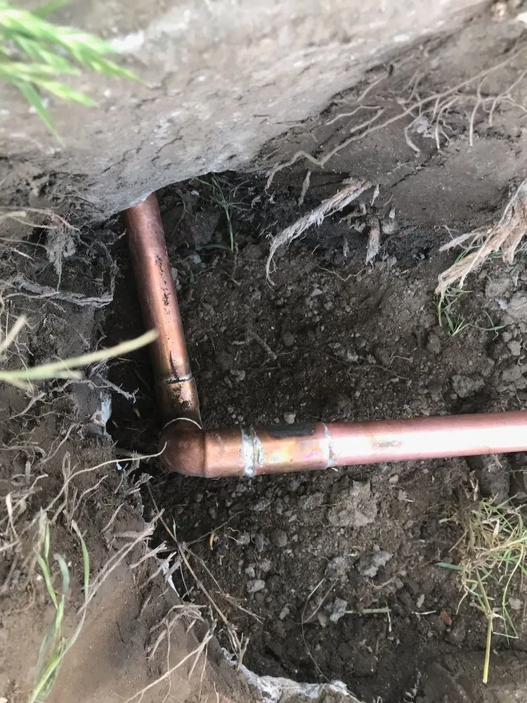 Expert yard cleanup service near you across Riverside, CA - Alfredo's Landscape and Gardening Services