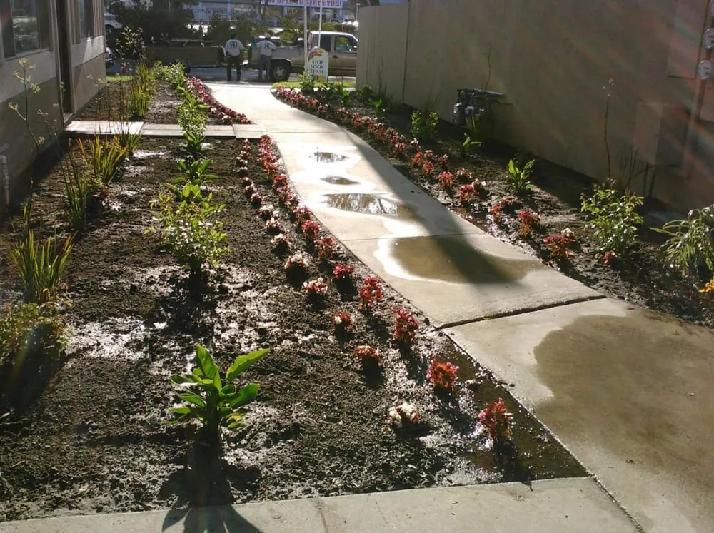 Reliable landscape design experts serving Riverside, CA - Alfredo's Landscape and Gardening Services