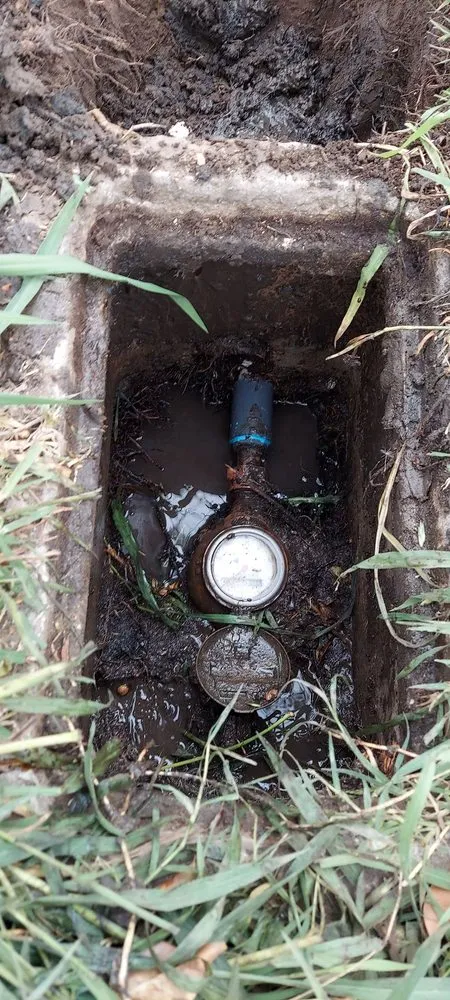 Affordable outdoor landscaping experts serving Riverside, CA - Alfredo's Landscape and Gardening Services