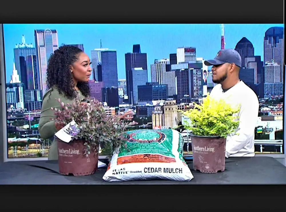 Affordable outdoor landscaping experts serving Dallas, TX - Alfredo’s Landscaping