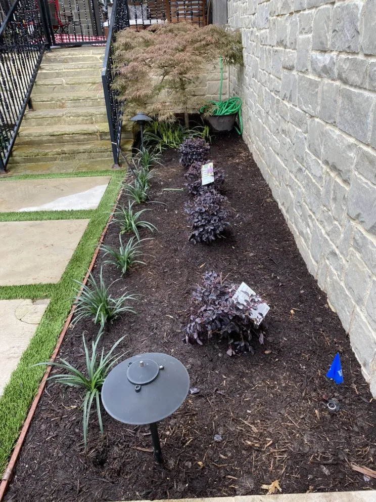 Reliable yard cleanup service in Dallas, TX - Alfredo’s Landscaping