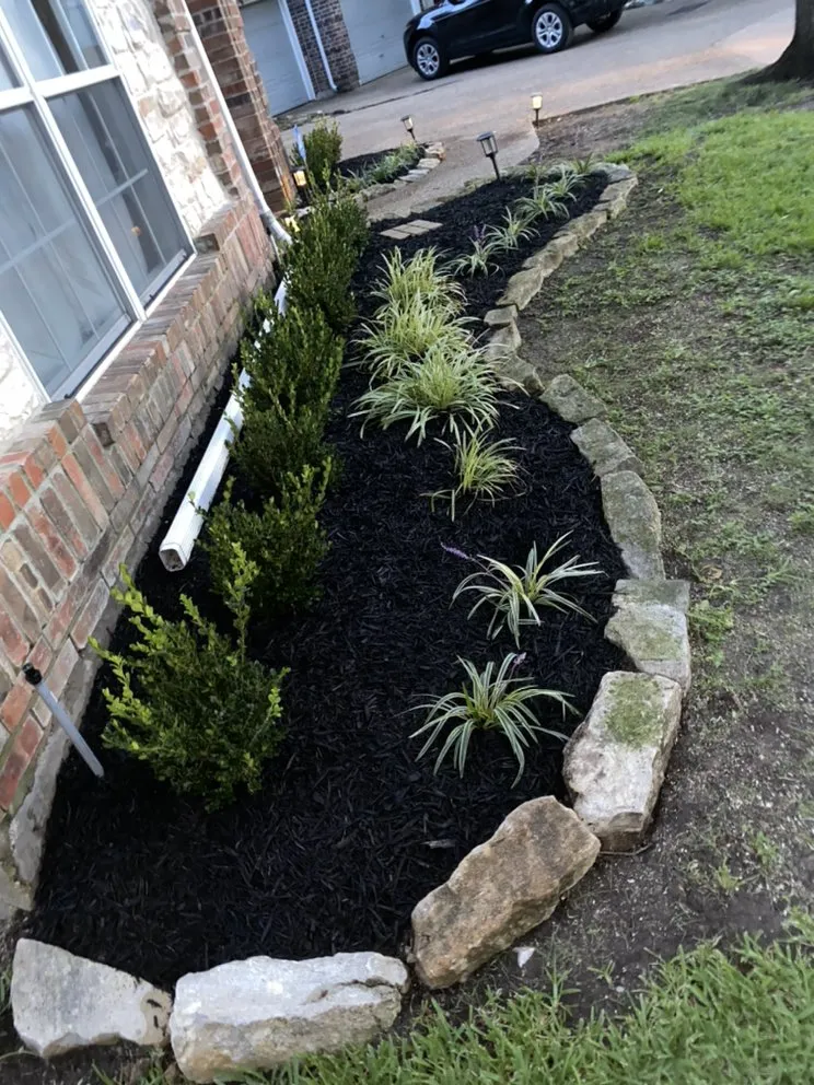 Affordable landscaping services in Dallas, TX - Alfredo’s Landscaping