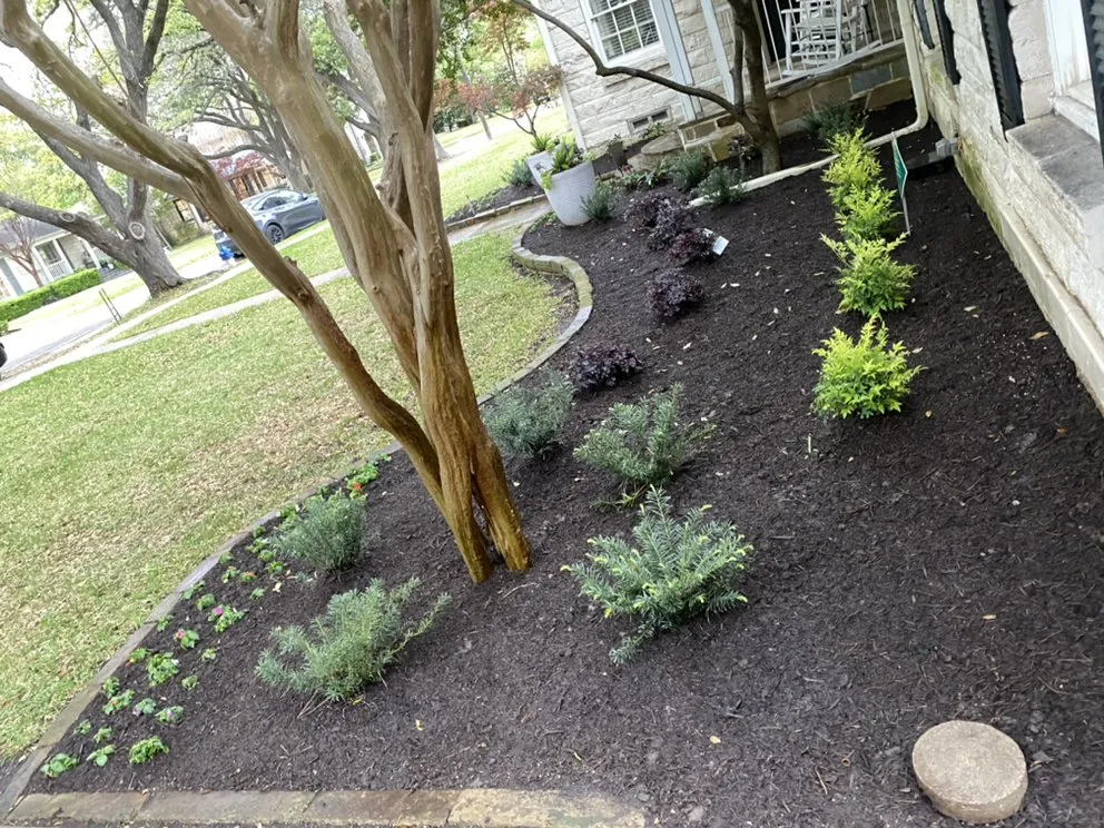 Professional landscaping services for residential properties in Dallas, TX by Alfredo’s Landscaping