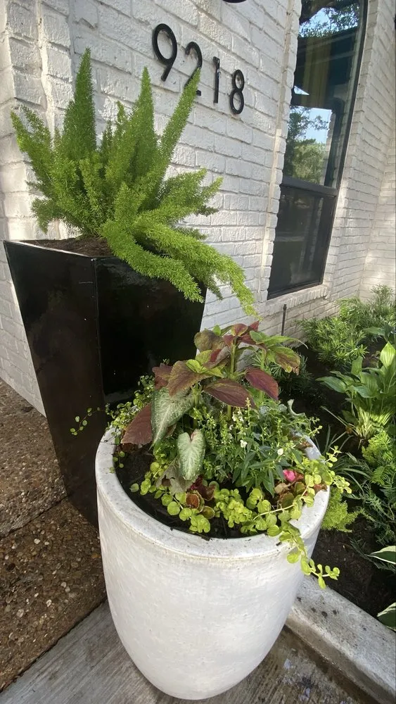 Trusted landscaping services in Dallas, TX by Alfredo’s Landscaping