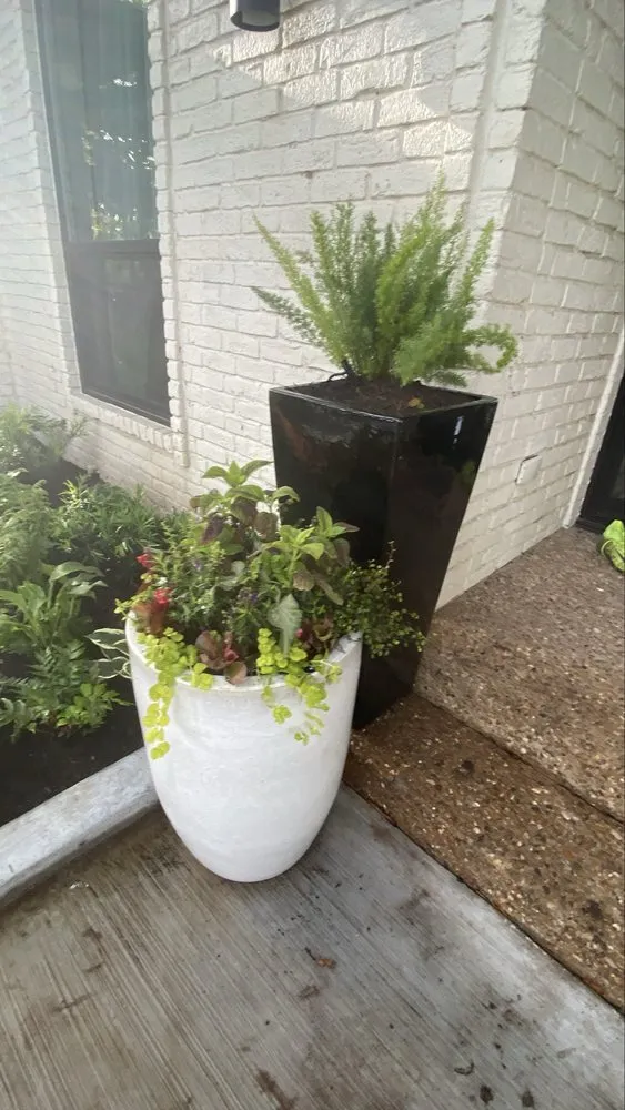 Reliable residential landscaping experts serving Dallas, TX - Alfredo’s Landscaping