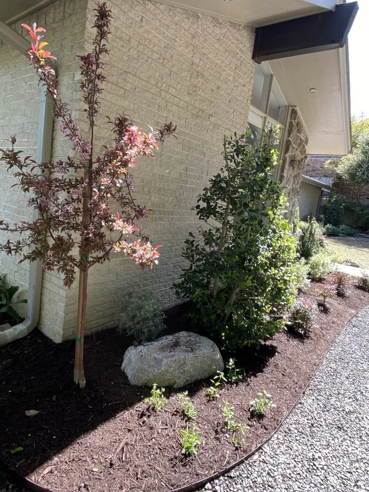 Reliable landscaping services in Dallas, TX by Alfredo’s Landscaping