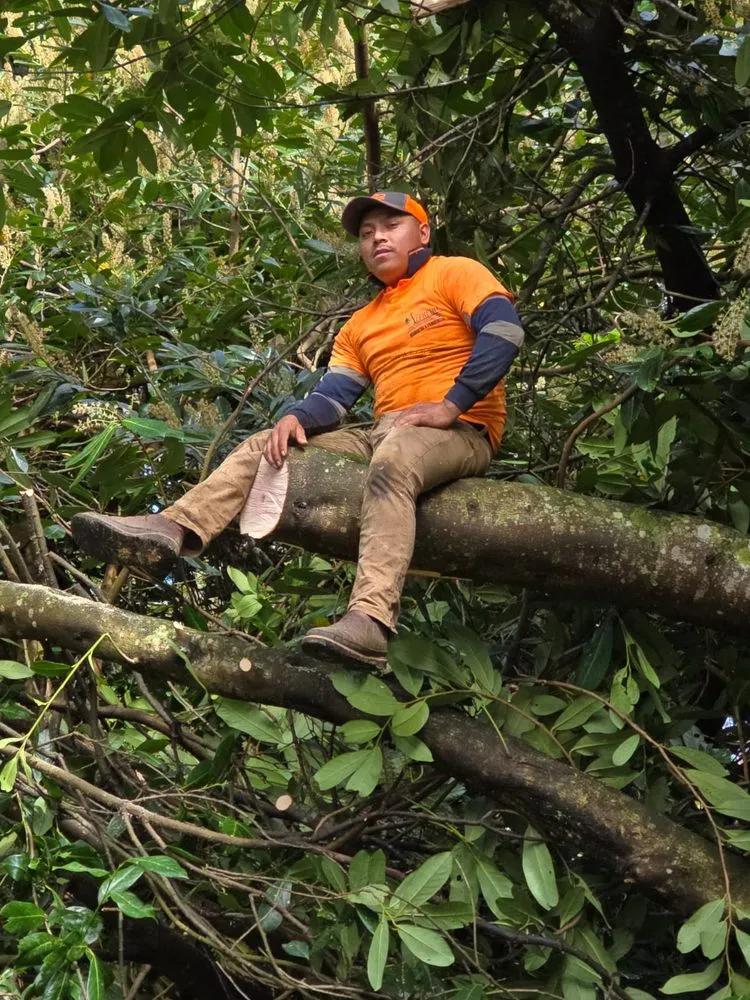 Expert outdoor landscaping in Longview, WA - Alfredo’s Landscaping