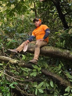 Alfredo’s Landscaping Logo