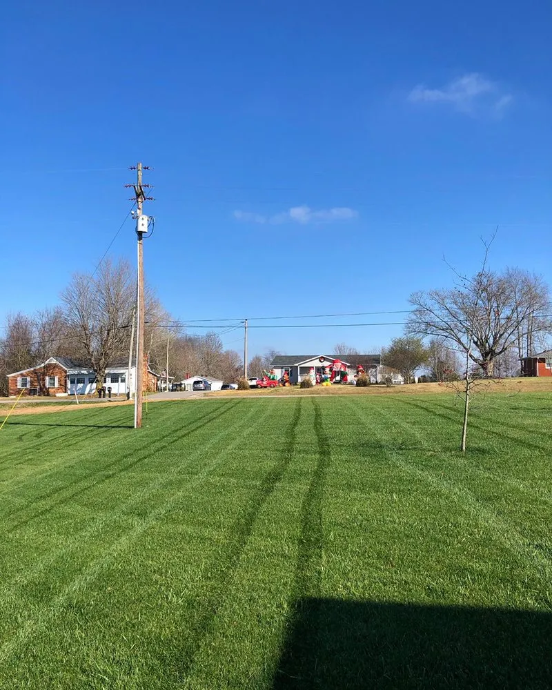 Top-rated lawn care service in Austin, KY - Alfredo’s Lawn and Landscape
