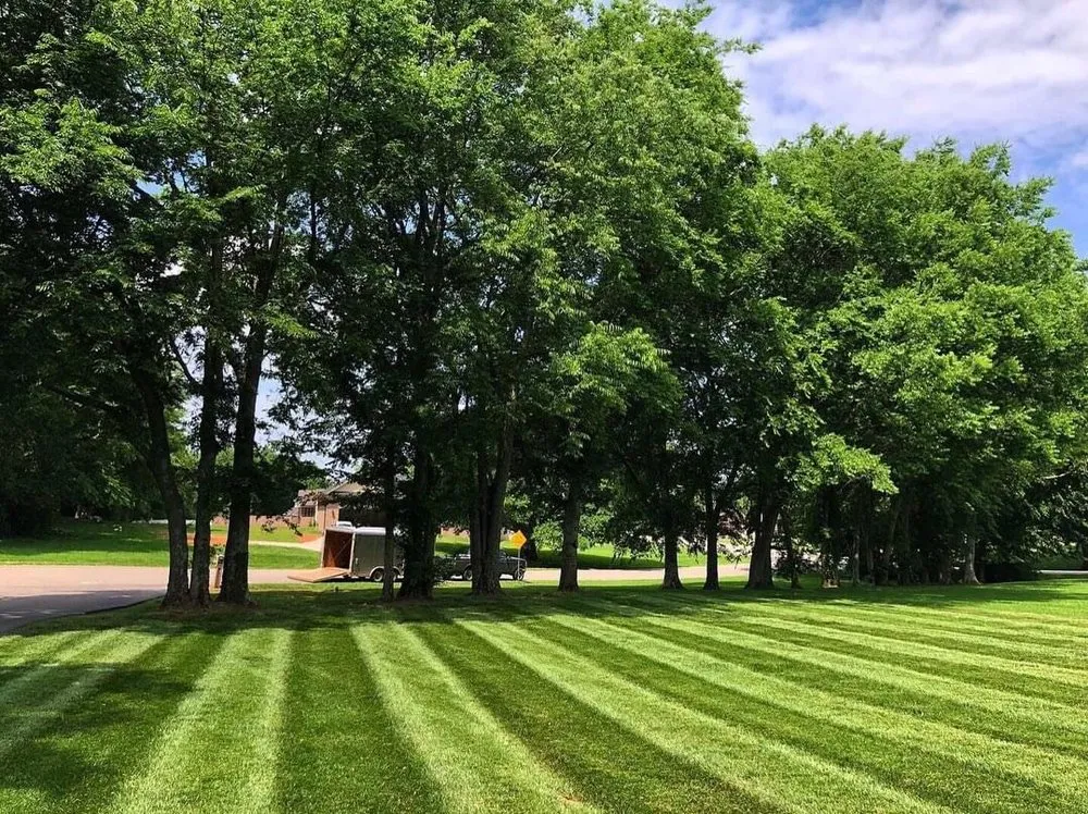 Trusted yard cleanup service for outdoor upgrades across Austin, KY - Alfredo’s Lawn and Landscape