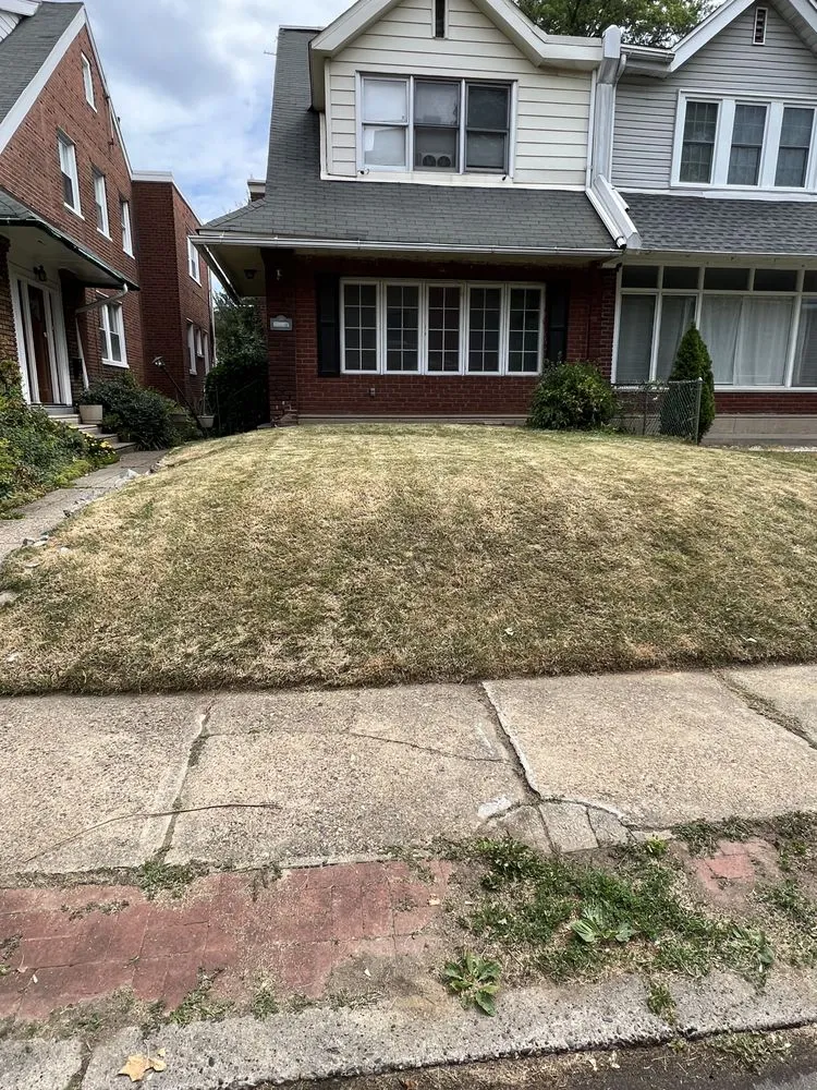 Top-rated yard cleanup service in Philadelphia, PA by Alfredo’s Lawn Care