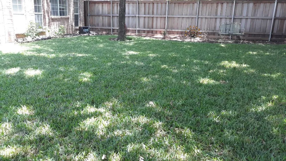 Local landscape installation in Allen, TX by Alfredo's Lawn Care Service