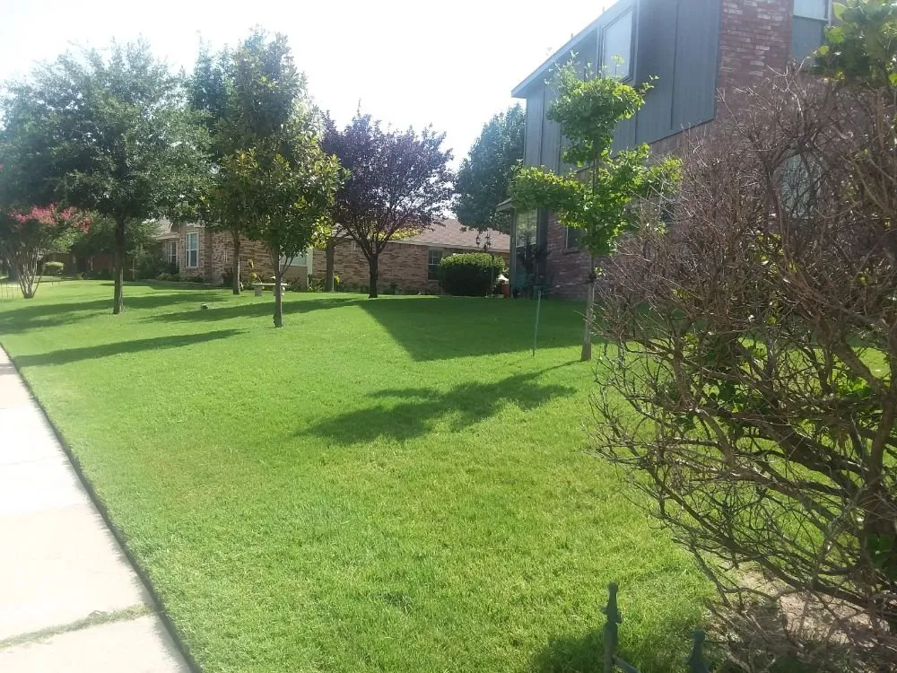 Expert outdoor landscaping for homes in Allen, TX by Alfredo's Lawn Care Service