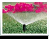 Local outdoor landscaping for beautiful yards across Elk Grove, CA - Alfredos lawn service