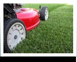 Custom lawn mowing service for beautiful yards in Elk Grove, CA by Alfredos lawn service