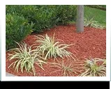 Custom lawn mowing service in Elk Grove, CA - Alfredos lawn service