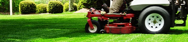 Trusted yard maintenance with custom design in Elk Grove, CA by Alfredos lawn service